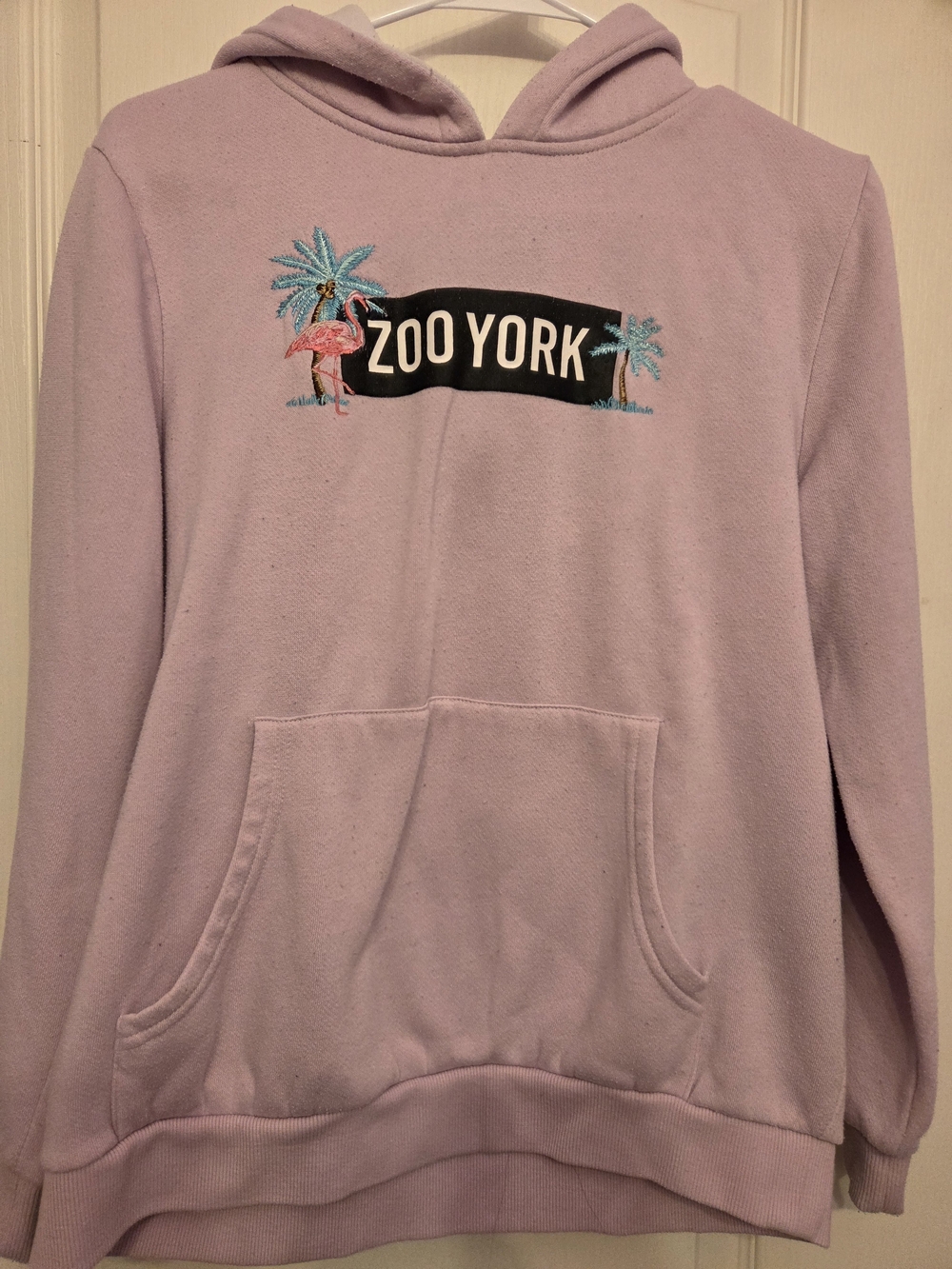 Zoo York Youth Lavender Hoodie Sweater